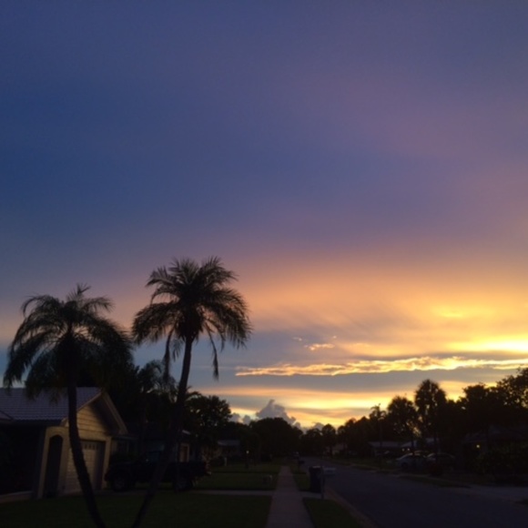 Meet your Posher, Sharyn - Picture 3 of 4